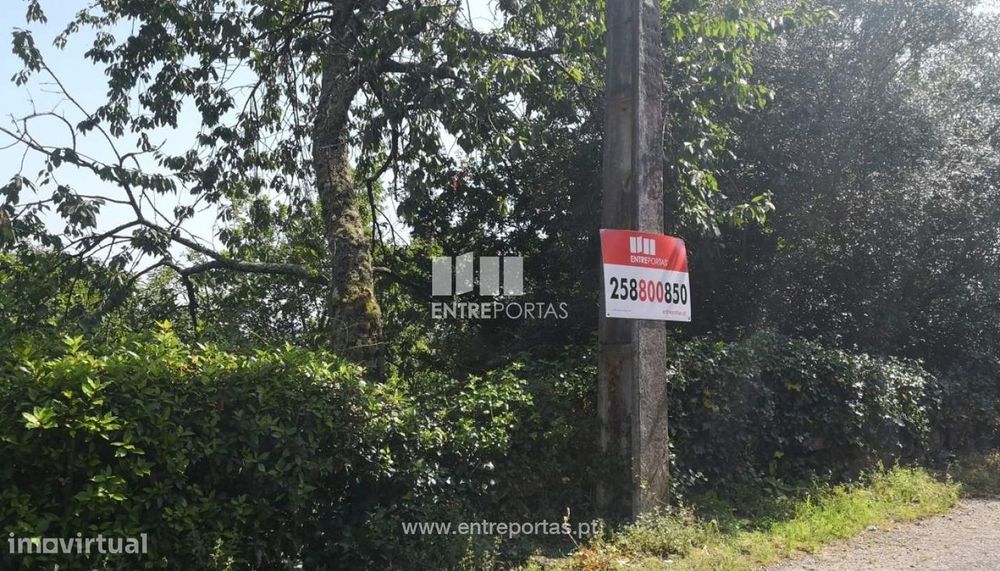 Venda de Terreno, Carvoeiro, Viana do Castelo. — Vila de Punhe, Viana do Castelo