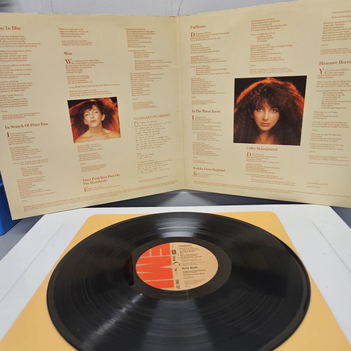Sprzedam płytę winylową Kate Bush.
