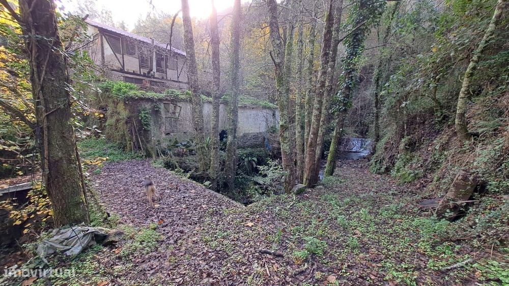 Quinta com casa para recuperar junto a ribeiro