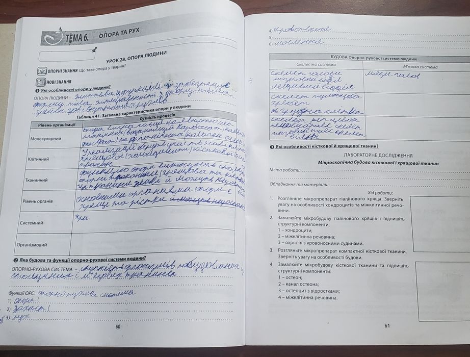 Біологія робочий зошит 8 класСоболь