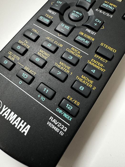 Pilot Yamaha RAV233