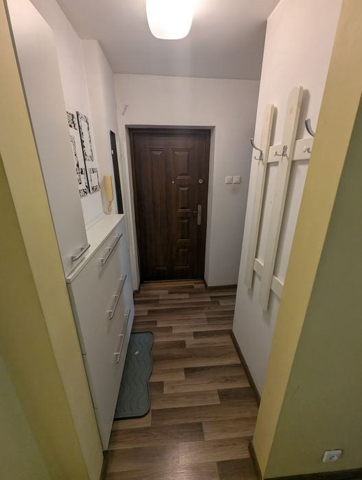 Zdjęcie 8