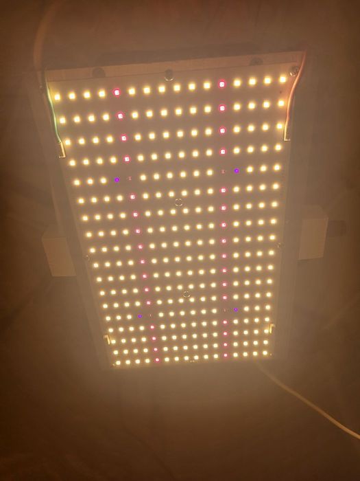 Quantum board 150W Samsung lm301h фітолампа з димером, гарантія