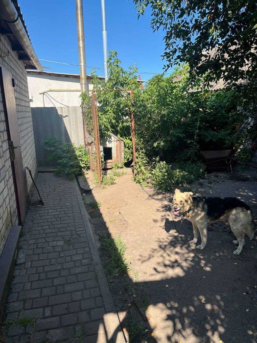 Терміново продам частину будинку в Золочеві