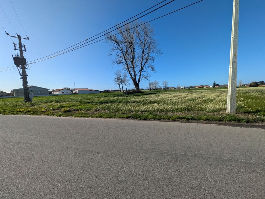 Terreno Rústico em Pardilhó