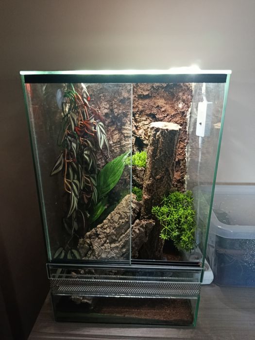 Terrarium z wyposażeniem 30x30x50