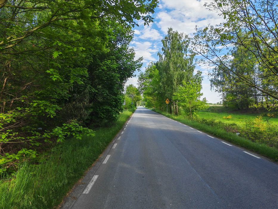 Malownicza Działka 1700 m² z WZ, w Dębe, 12 minut od placu Kilińskiego, Kalisz. - Widok 2