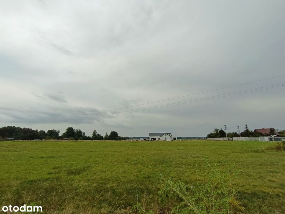 Działka/ działki budowlane Krubki Górki - Widok 4