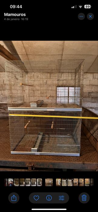 Viveiros para Aves