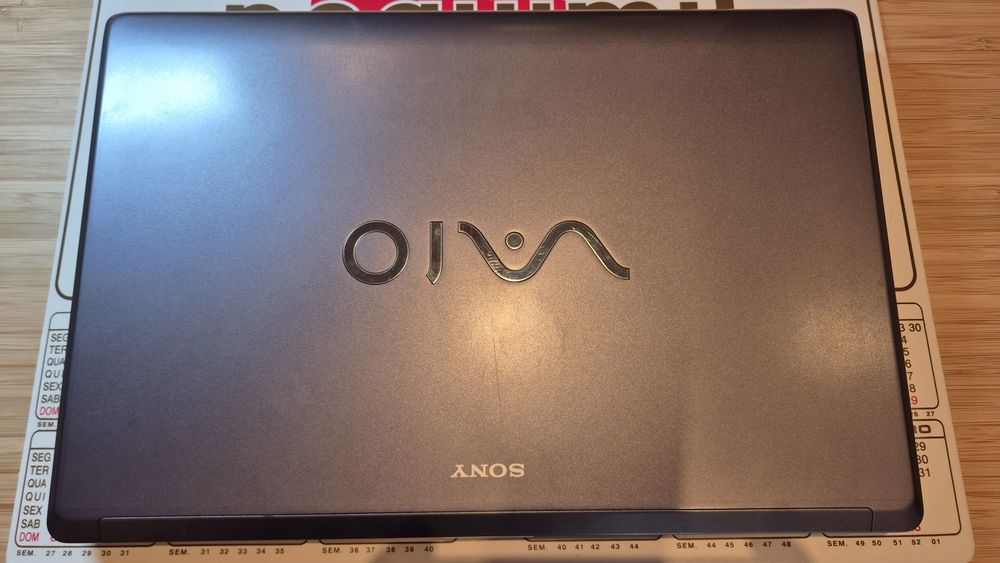 Sony Vaio VGN FW21E