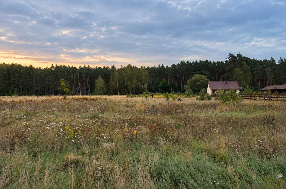 DZIAŁKA rolno- budowlana , WZ- 5267 m² - Widok 5
