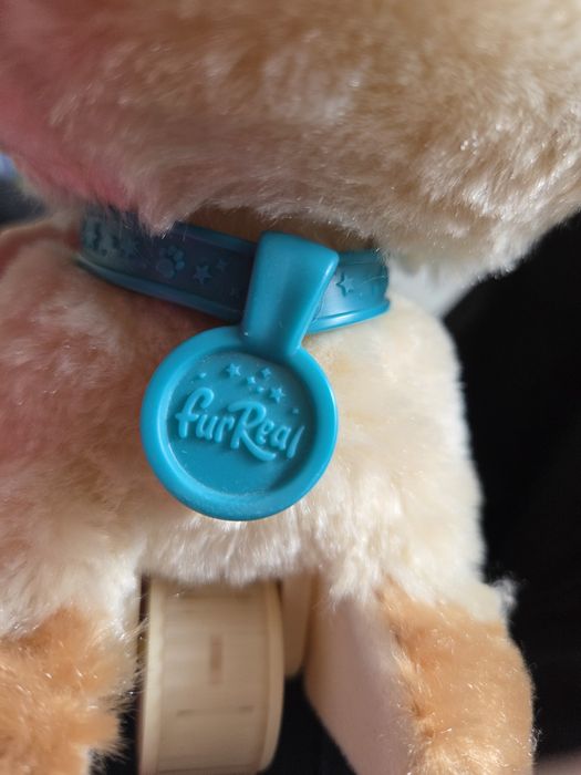 Kotek Hasbro interaktywny