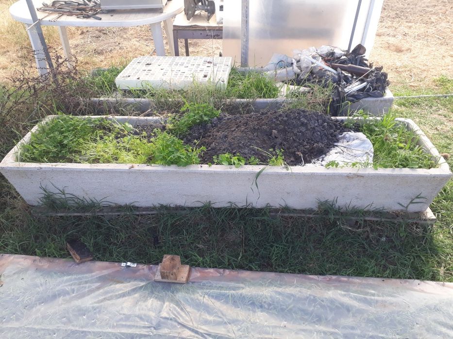 Comedores para animais