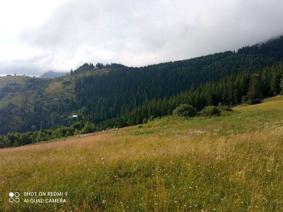 Земельна ділянка в Карпатах. Верховинський р-н.  с. Верхній