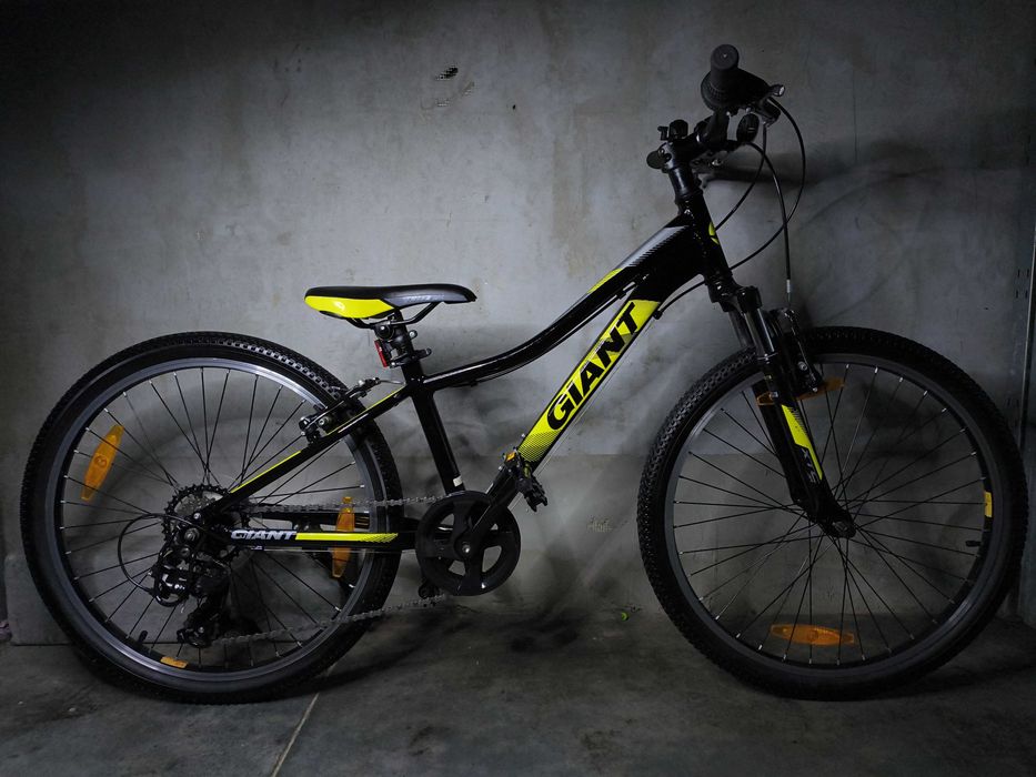 Rower Giant 24" SUPER STAN