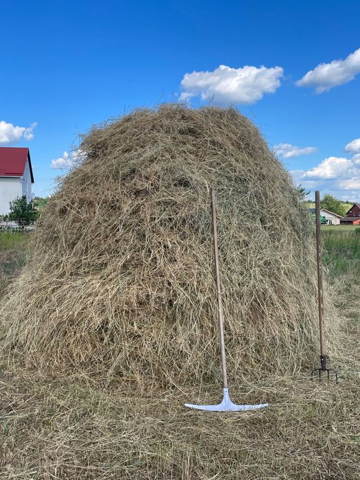 Сіно різнотравʼя з люцерною