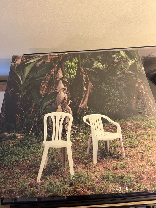 Vinil branco Bad Bunny - Debi tirar mas fotos