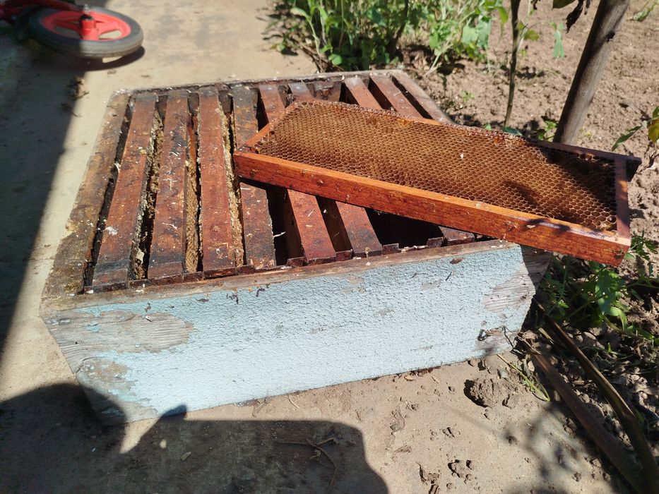 Alças para apicultura com quadros