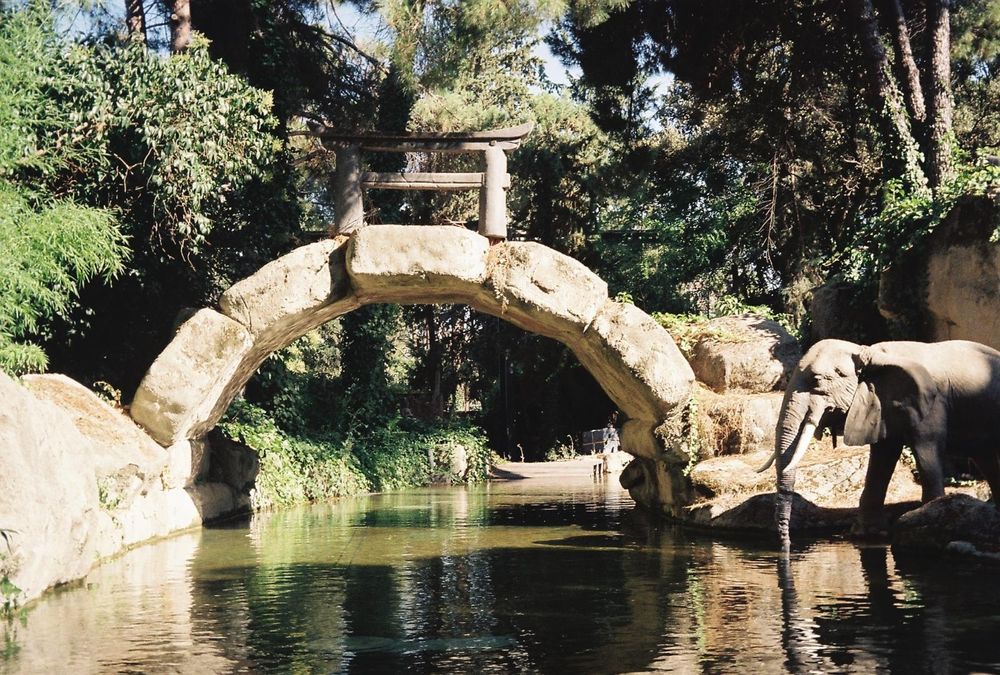 NEGOCIÁVEL- Máquina 35mm Canon 90U II Date