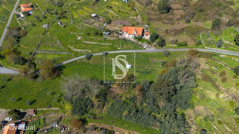 Terreno  Venda em Ancede e Ribadouro,Baião