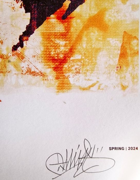 Vhils (1987) - Dope 2564740969085314123