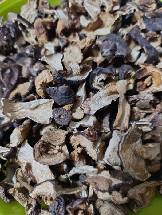 Grzyby suszone mix podgrzybki prawdziwki kozaki