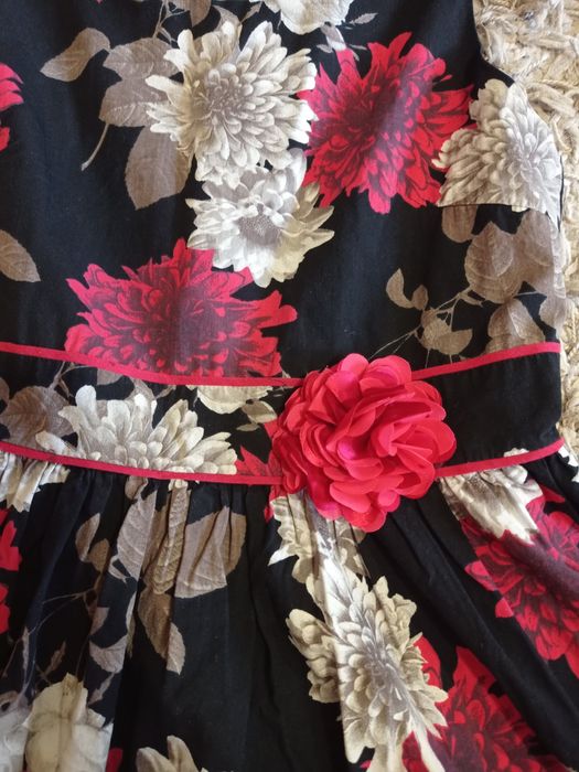 Плаття, платье, сукня