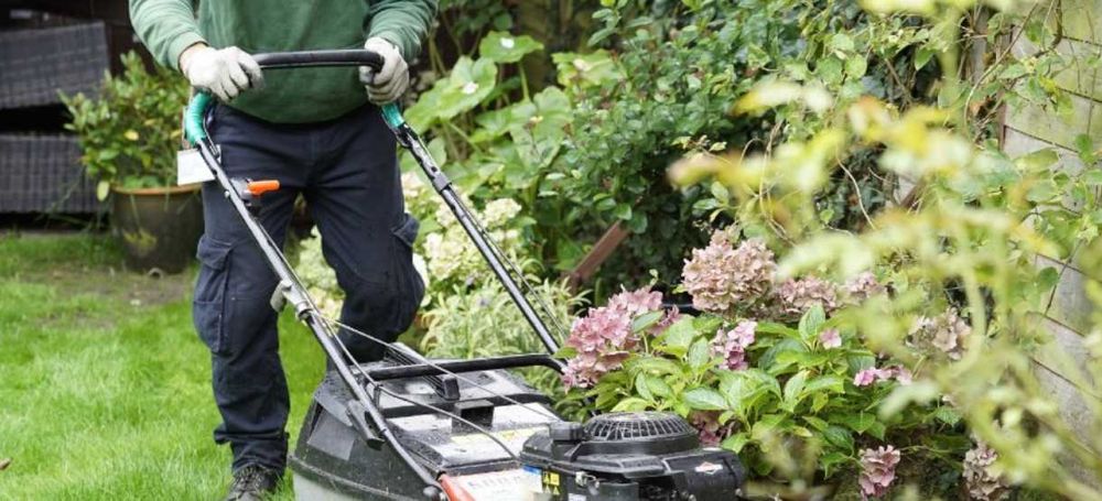 Serviços de Jardinagem e Limpeza de Terrenos - Manuel Santos