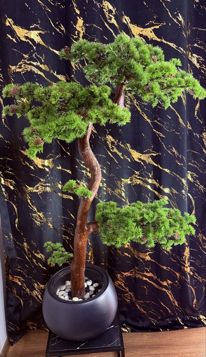 Drzewo bonsai na naturalnym pniu