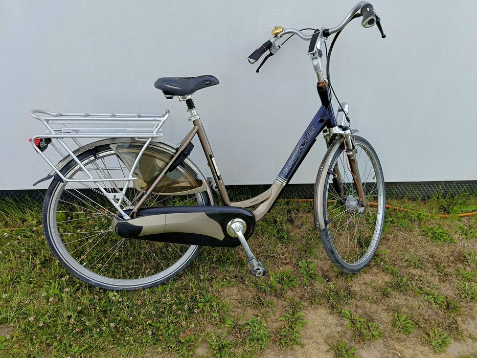 Rower batavus 28