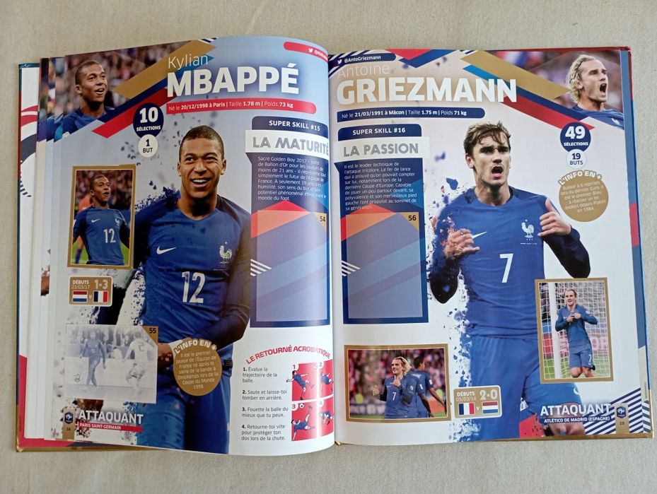 Panini Fiers d'être Bleus