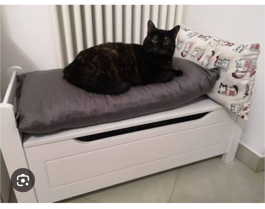 Banco de madeira com arrumação novo