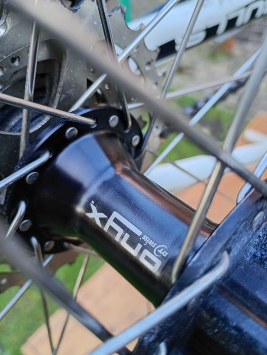 Rower MTB BULLS Wild Beast Sport AM