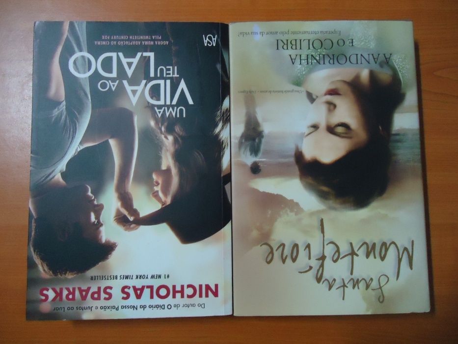 A Andorinha e o Colibri de Santa Montefiore