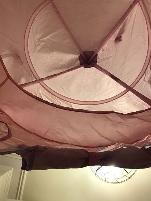 Tenda Sininho Disney
