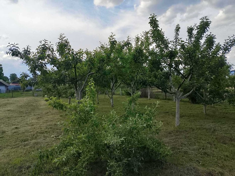Будинок в місті Носівка.