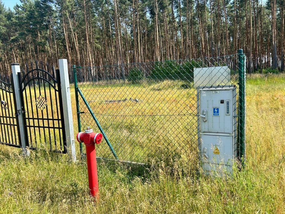 Działka 1084m² + 3300m² lasu - Widok 3