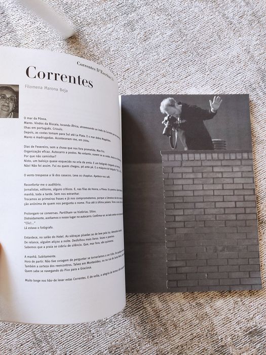 Revista dos 10 anos correntes d'escritas