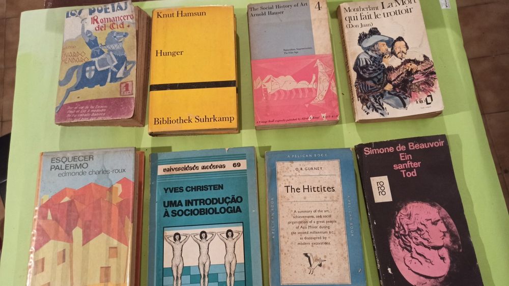 Livros com uso e anos de estante.