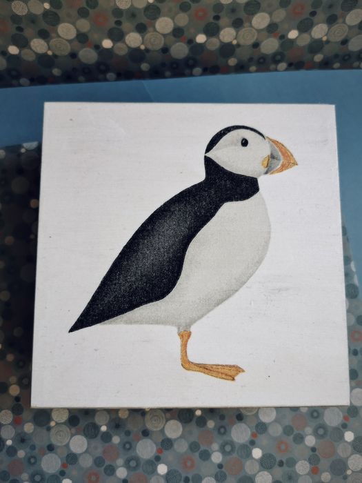 Drewniane pudełko maskonur puffin Islandia