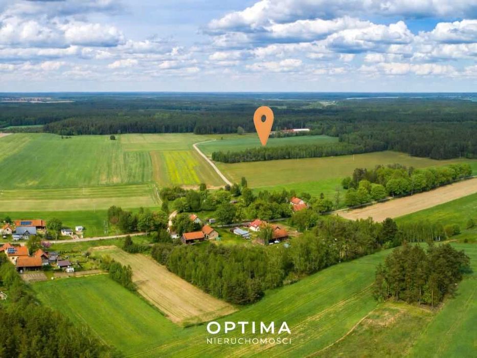 Drwęck gm. Olsztynek - duża działka z prywatnym lasem