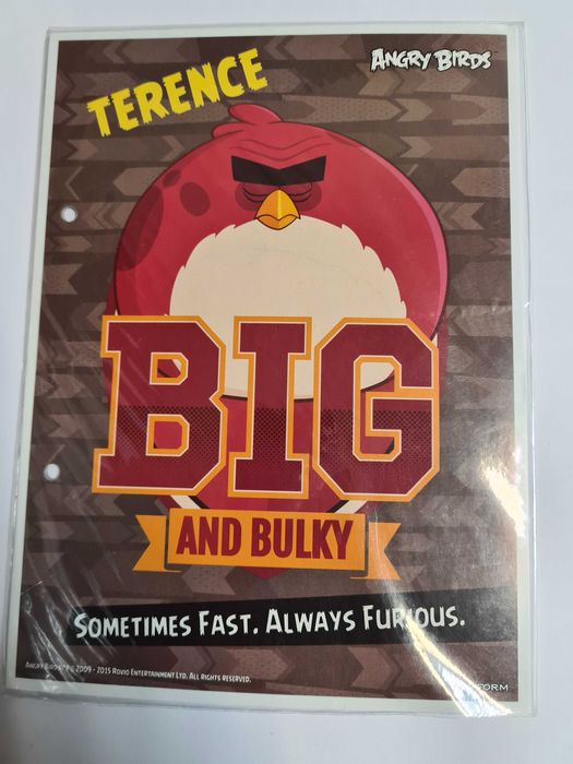 Karteczki A5 całe opakowanie NOWE Angry Birds