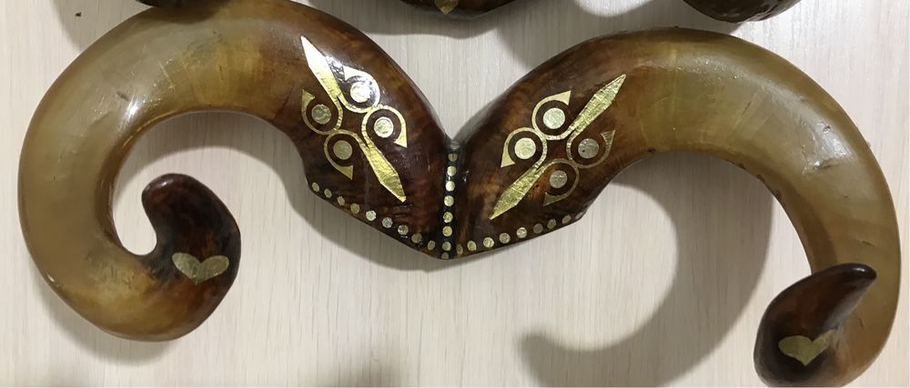 Продам рога різні на вибір