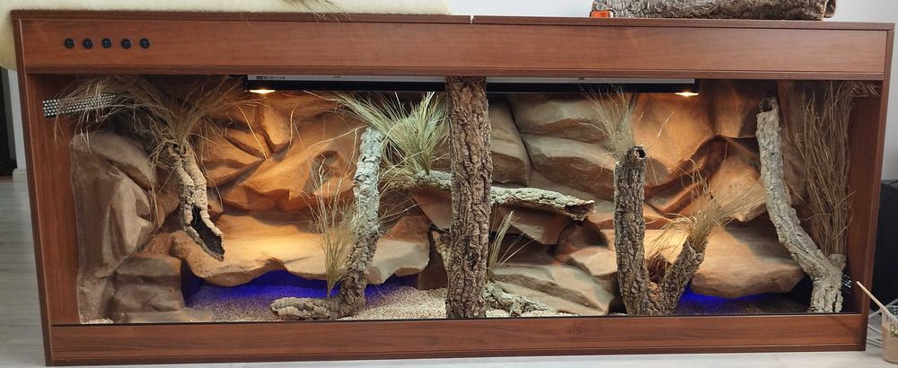 terrarium dla węża zbożowego 80x40x40 ( Exotic Leszno )