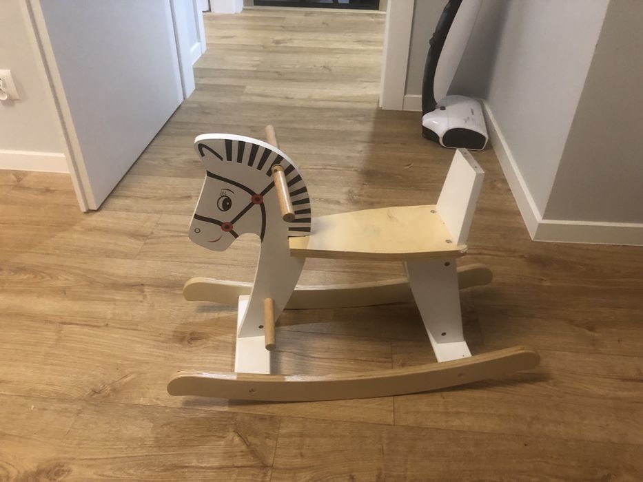 Konik na biegunach