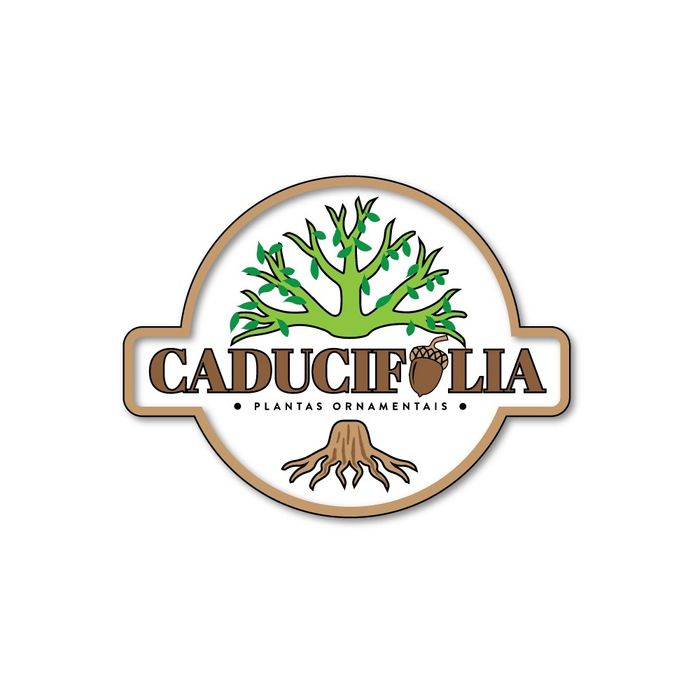 Árvores & Plantas Ornamentais