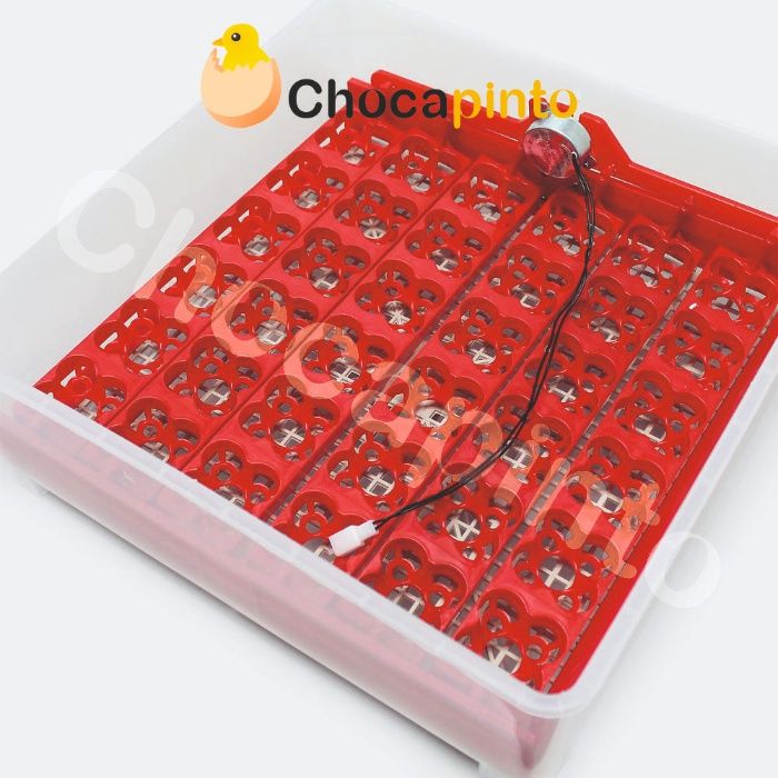 Chocadeira / incubadora de 36/144 Ovos + Criadeira