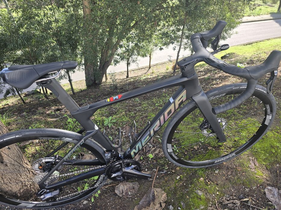 Merida reacto 8000 oportunidadee