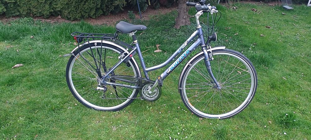 Rower damski wheeler