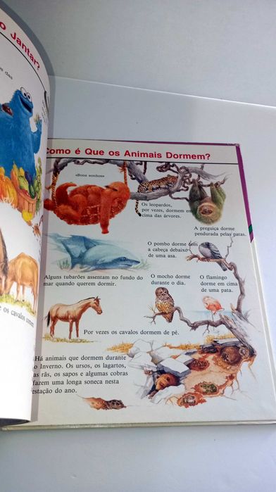 Animais - Livro da Rua Sésamo